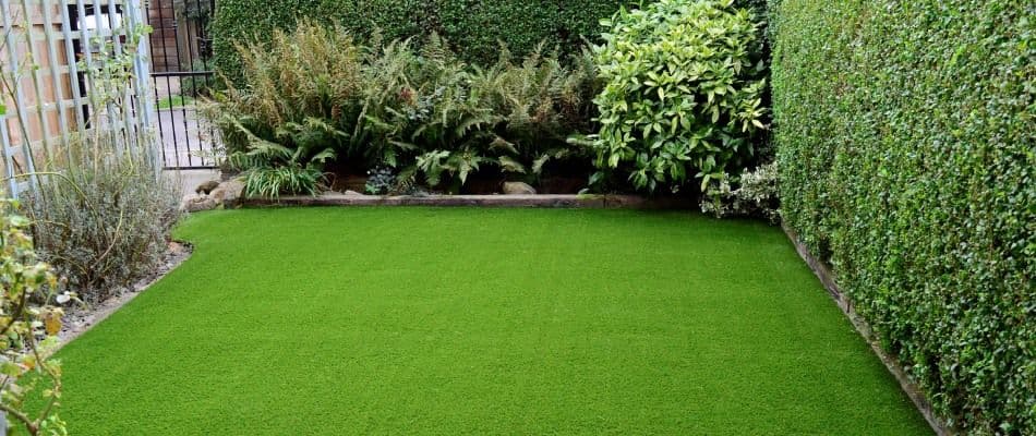 content-artificial-turf-installed-in-backyard